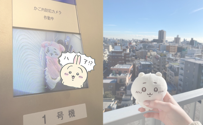ちいかわ